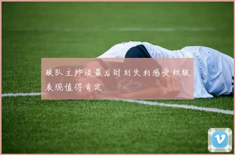 狼队主帅谈最后时刻失利感受积极表现值得肯定