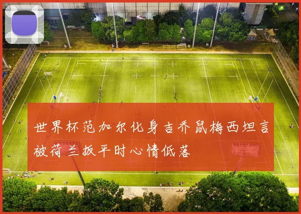 世界杯范加尔化身吉乔鼠梅西坦言被荷兰扳平时心情低落