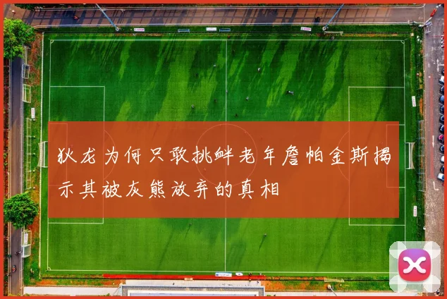 狄龙为何只敢挑衅老年詹帕金斯揭示其被灰熊放弃的真相
