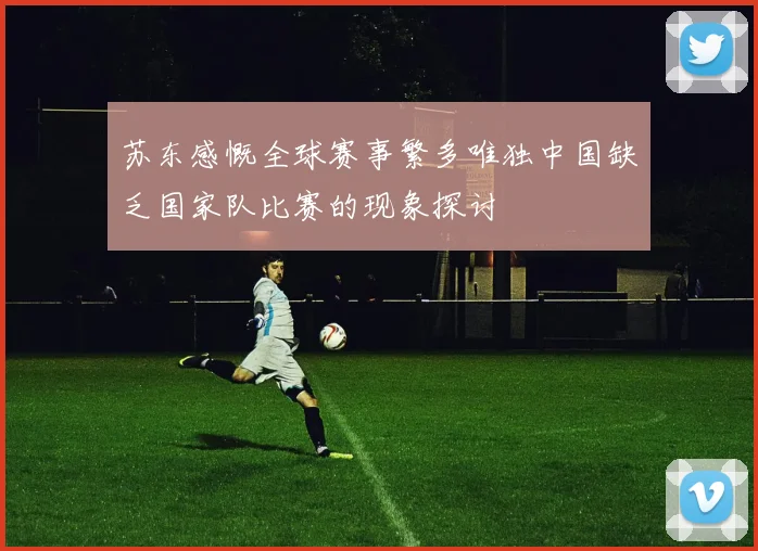 苏东感慨全球赛事繁多唯独中国缺乏国家队比赛的现象探讨
