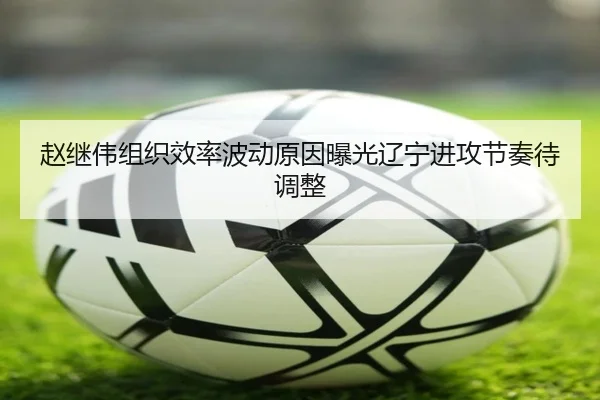 赵继伟组织效率波动原因曝光辽宁进攻节奏待调整 | jiuyou